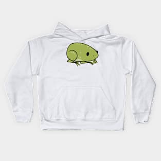 Froge Kids Hoodie